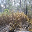 2012-Mar-03HGR4X4Richloam 139
